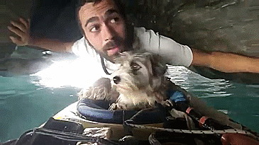 I Quit My Job To Kayak The Mediterranean Sea And Took A Dog (3 Years & 5000km So Far) I Quit My Job To Kayak The Mediterranean Sea And Took A Dog (3 Years & 5000km So Far)