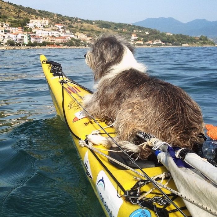 I Quit My Job To Kayak The Mediterranean Sea And Took A Dog (3 Years & 5000km So Far)