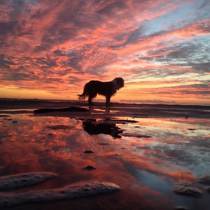 I Quit My Job To Kayak The Mediterranean Sea And Took A Dog (3 Years & 5000km So Far)