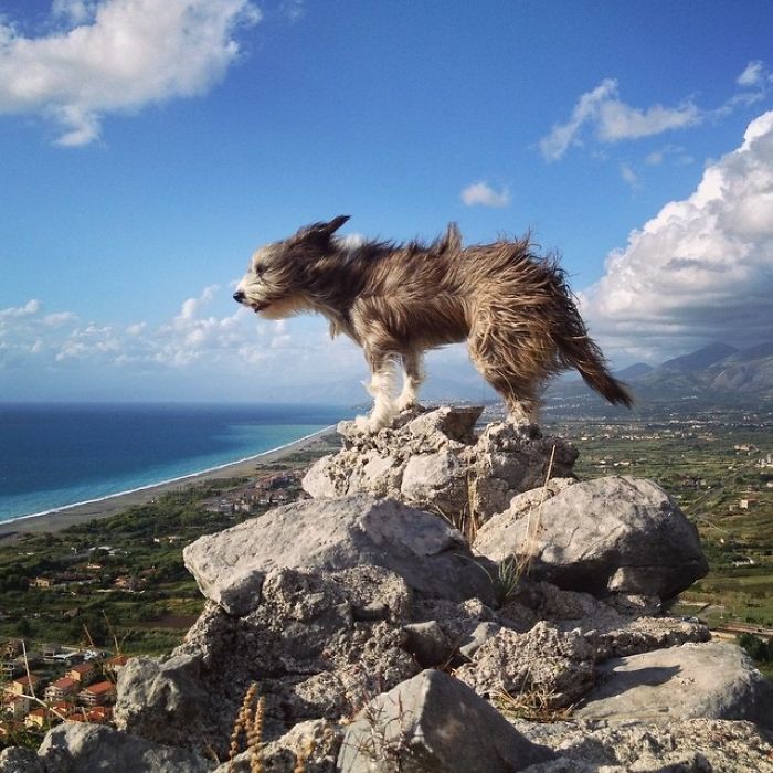 I Quit My Job To Kayak The Mediterranean Sea And Took A Dog (3 Years & 5000km So Far)