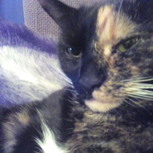 ericabethcrotty avatar