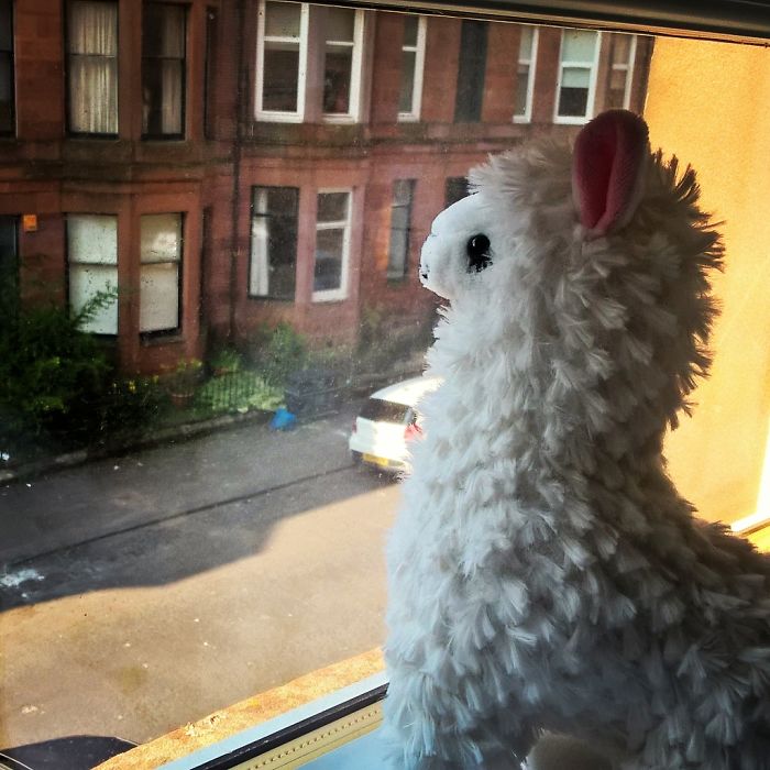 Can't Wait For Exams To Finish To Travel Together