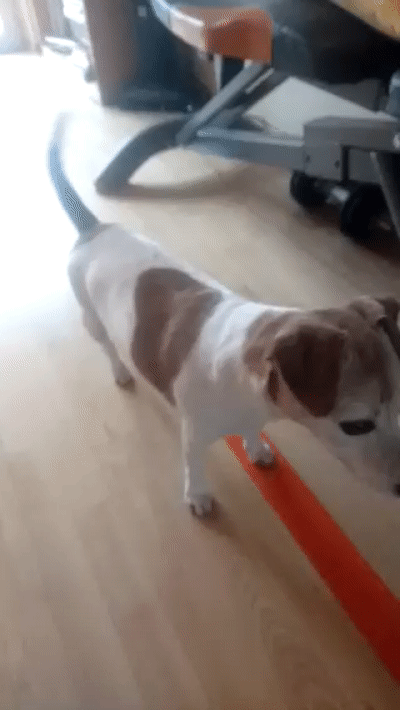 Yes, We Are Going To The Park!