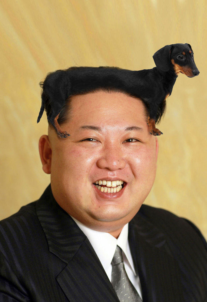 Kim Jong-dachs-un (dinner On My Mind)