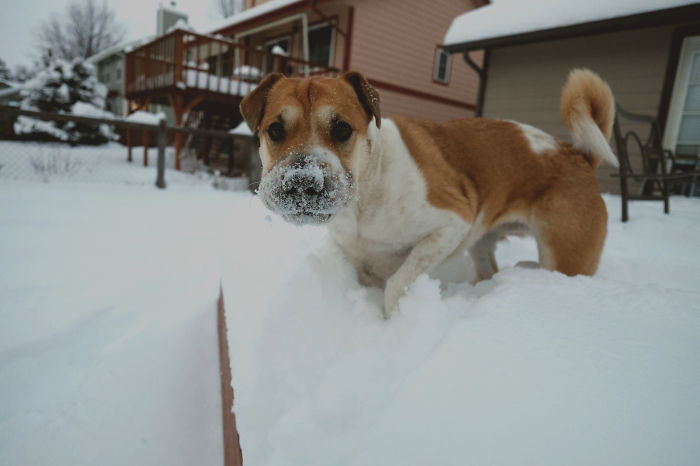 Kumi And Her Snow Eating Addiction