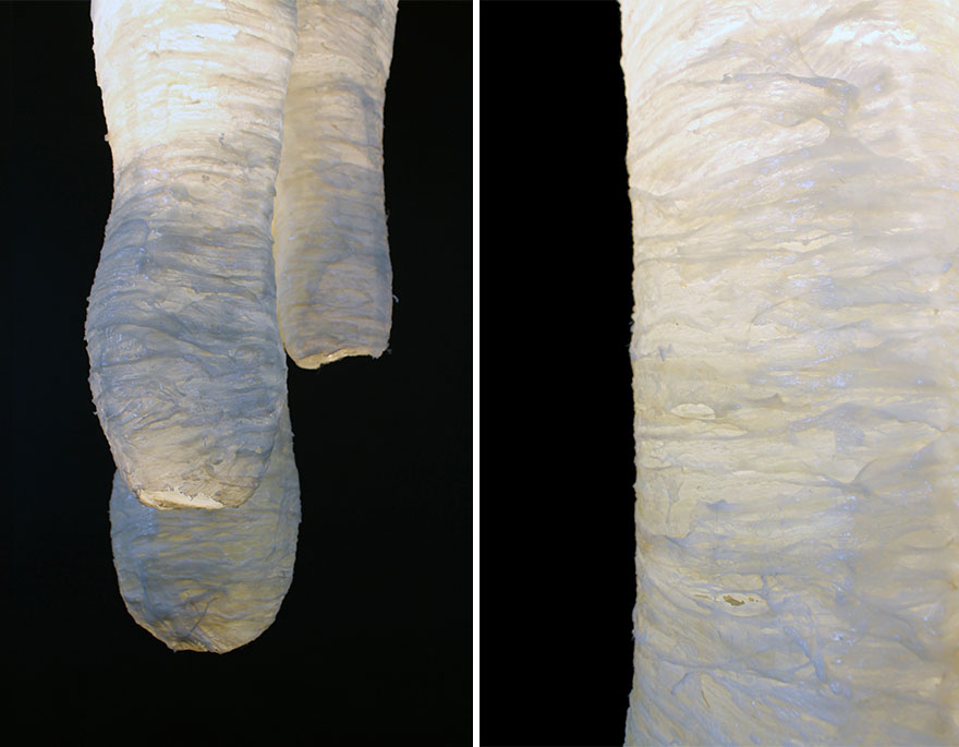 Lamps and Vases Made From Discarded Meat That I Found In Supermarkets