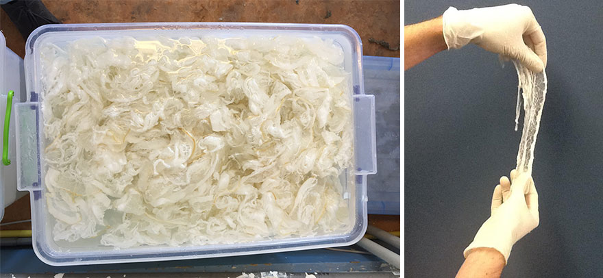 Lamps and Vases Made From Discarded Meat That I Found In Supermarkets