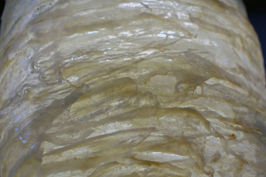 Lamps and Vases Made From Discarded Meat That I Found In Supermarkets Lamps and Vases Made From Discarded Meat That I Found In Supermarkets