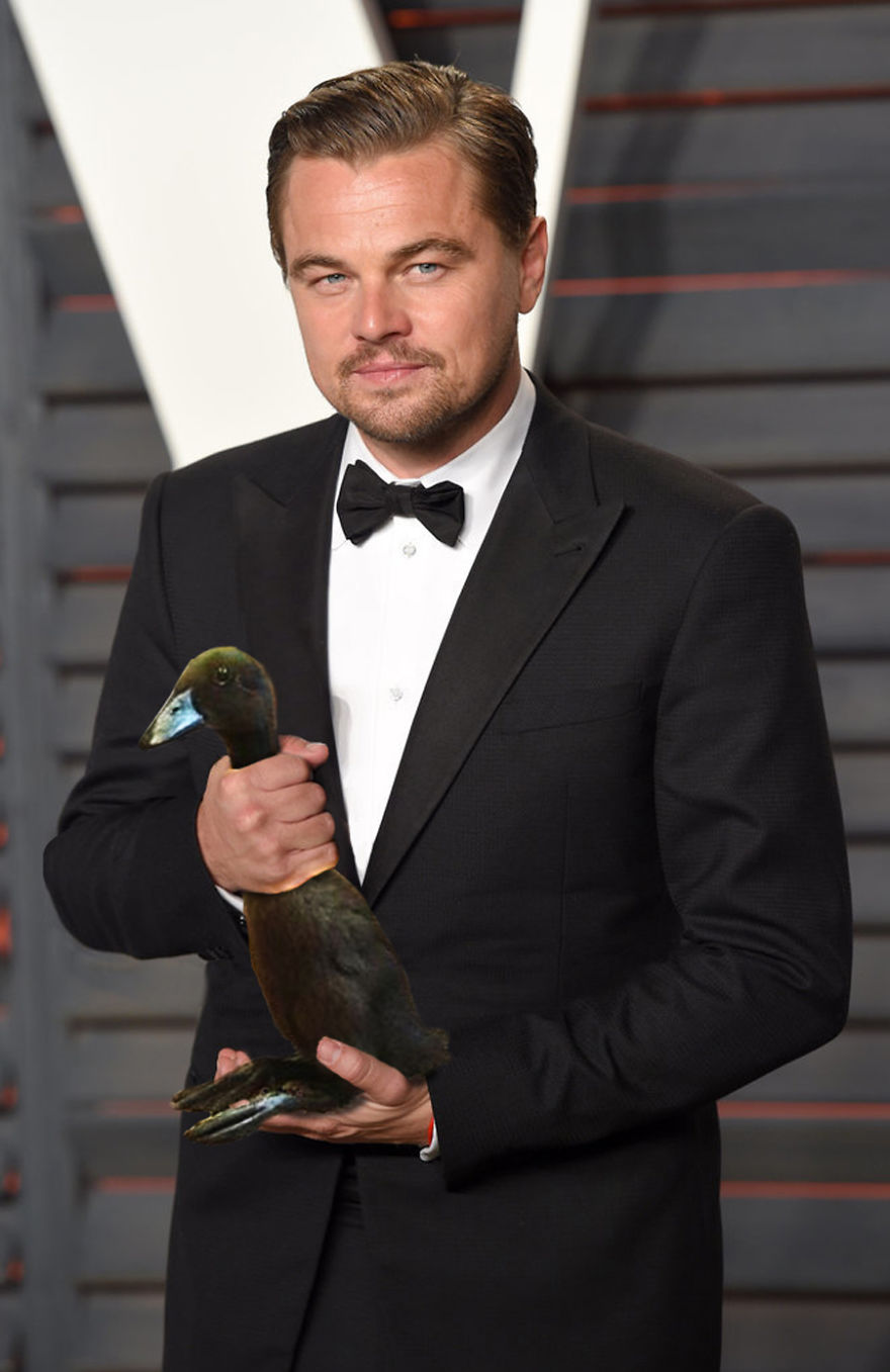 And The Duck Goes To..