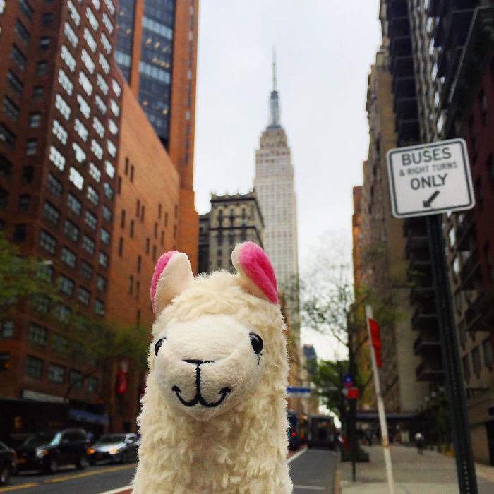 Dear New York Weather, Unfortunately You're Not As Cute As My Pinky Ears