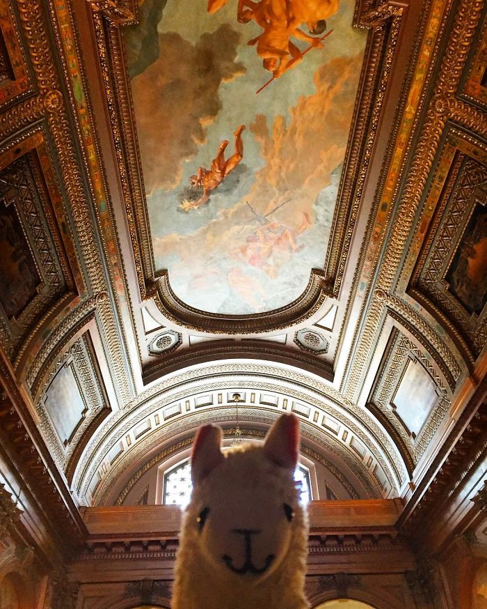 Spending The Day In Museums And Libraries