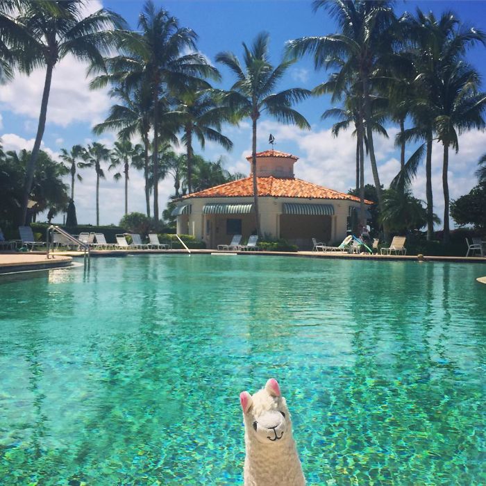 Feels Good To Be Home For A Few Days