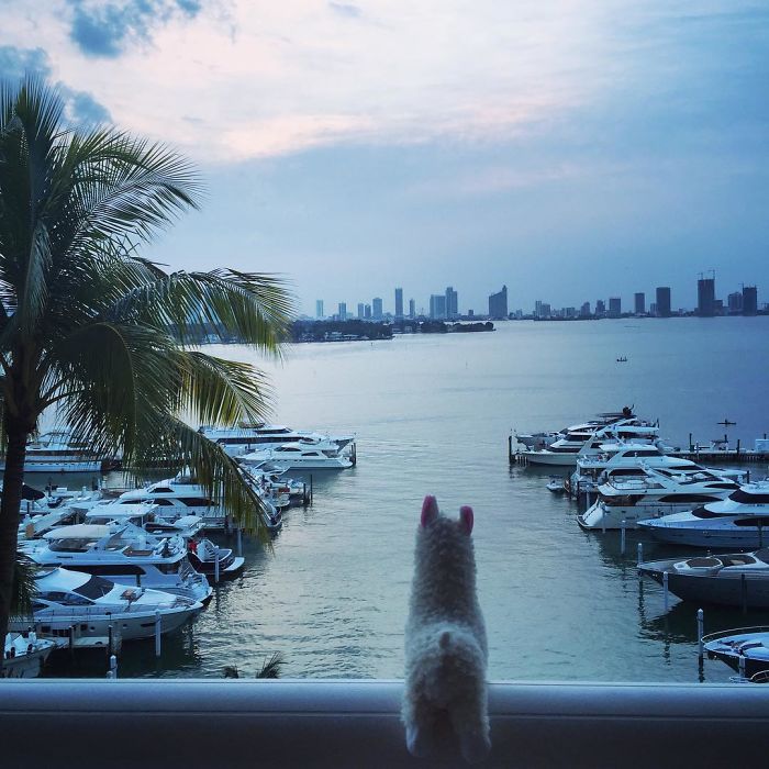 Feel Like A Grownup. Already In Love With Sunrises