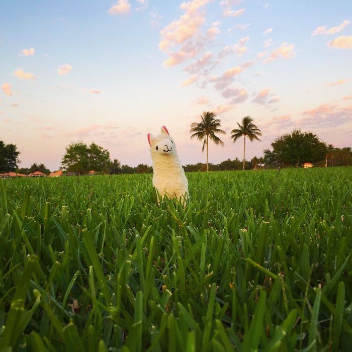 Spending Time In Nature Does Wonders For The Soul