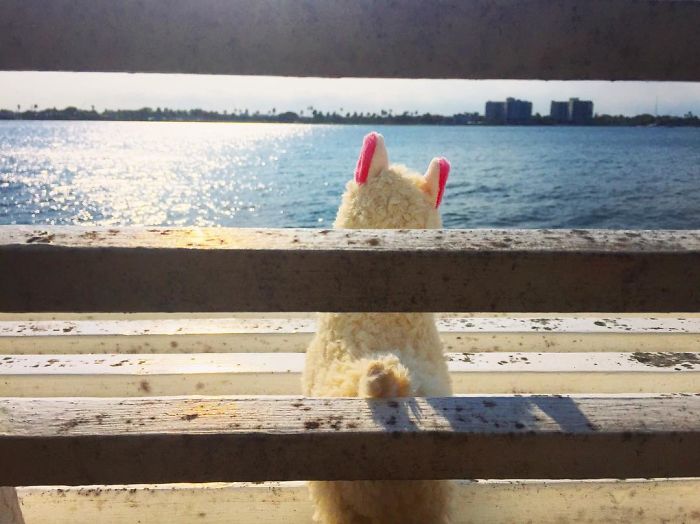 Me, Myself And I. On A Bench By The Ocean. Just Peaceful