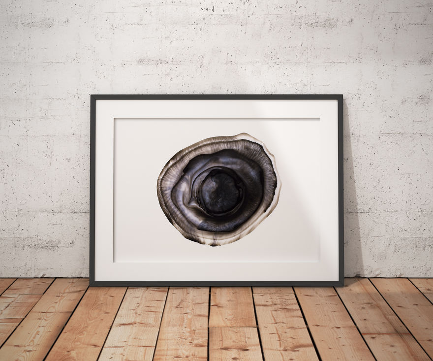 I Mix Ink And Milk To Create Abstract Photography