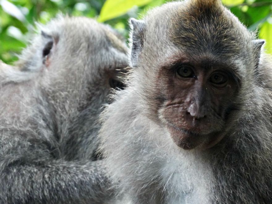 4 Years Ago, I Left The U.s. To Explore The World. These 35 Photos Showcase My Experience 4 Years Ago, I Left The U.s. To Explore The World. These 35 Photos Showcase My Experience