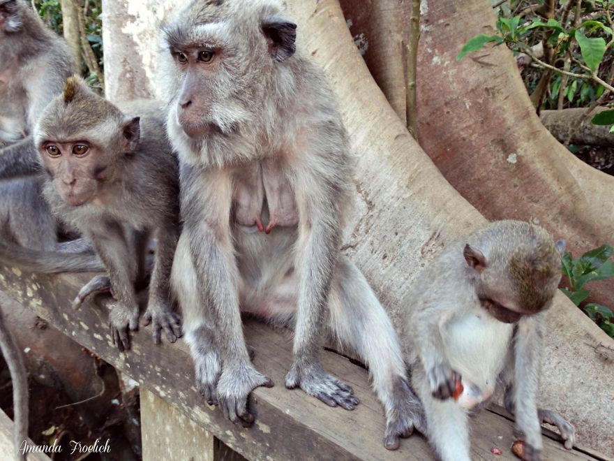 4 Years Ago, I Left The U.s. To Explore The World. These 35 Photos Showcase My Experience