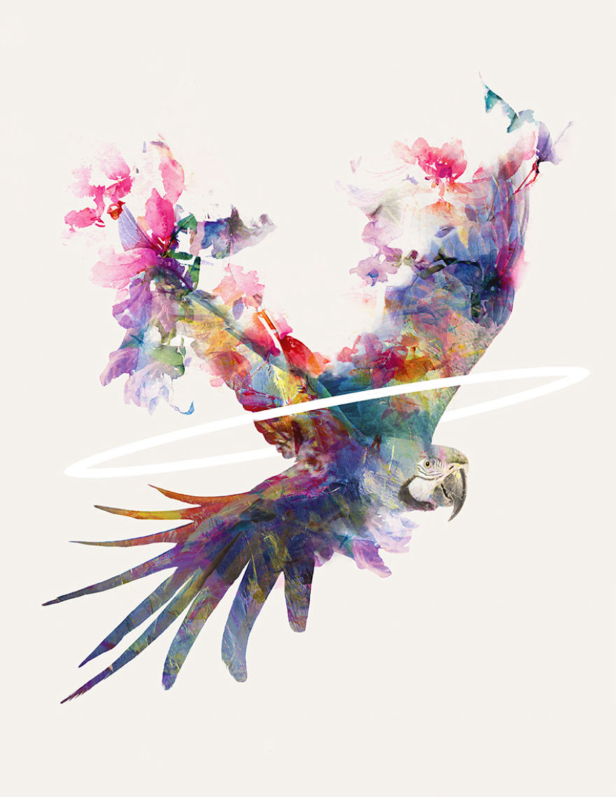 My Surreal Illustrations Of Women And Birds