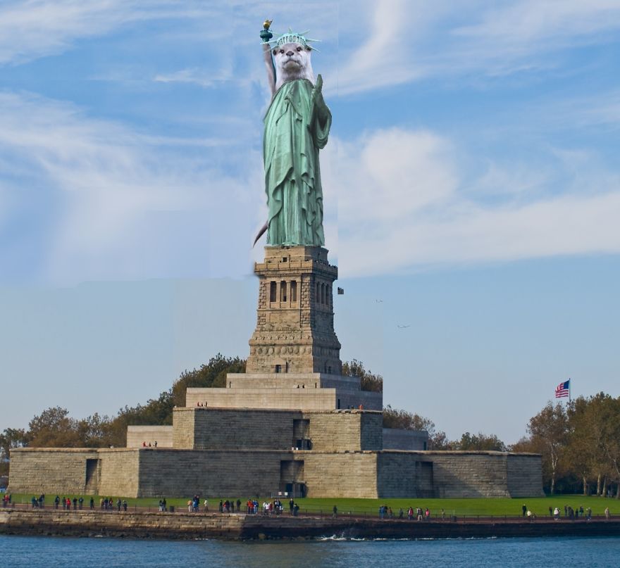 The Otter Side Of Freedom