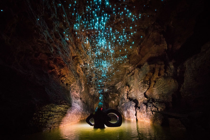 Glow Worms Turn New Zealand Cave Into Starry Night And I Spent Past Year Photographing It Glow Worms Turn New Zealand Cave Into Starry Night And I Spent Past Year Photographing It