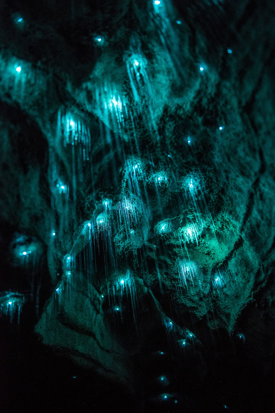 Glow Worms Turn New Zealand Cave Into Starry Night And I Spent Past Year Photographing It Glow Worms Turn New Zealand Cave Into Starry Night And I Spent Past Year Photographing It