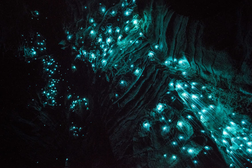 Glow Worms Turn New Zealand Cave Into Starry Night And I Spent Past Year Photographing It Glow Worms Turn New Zealand Cave Into Starry Night And I Spent Past Year Photographing It
