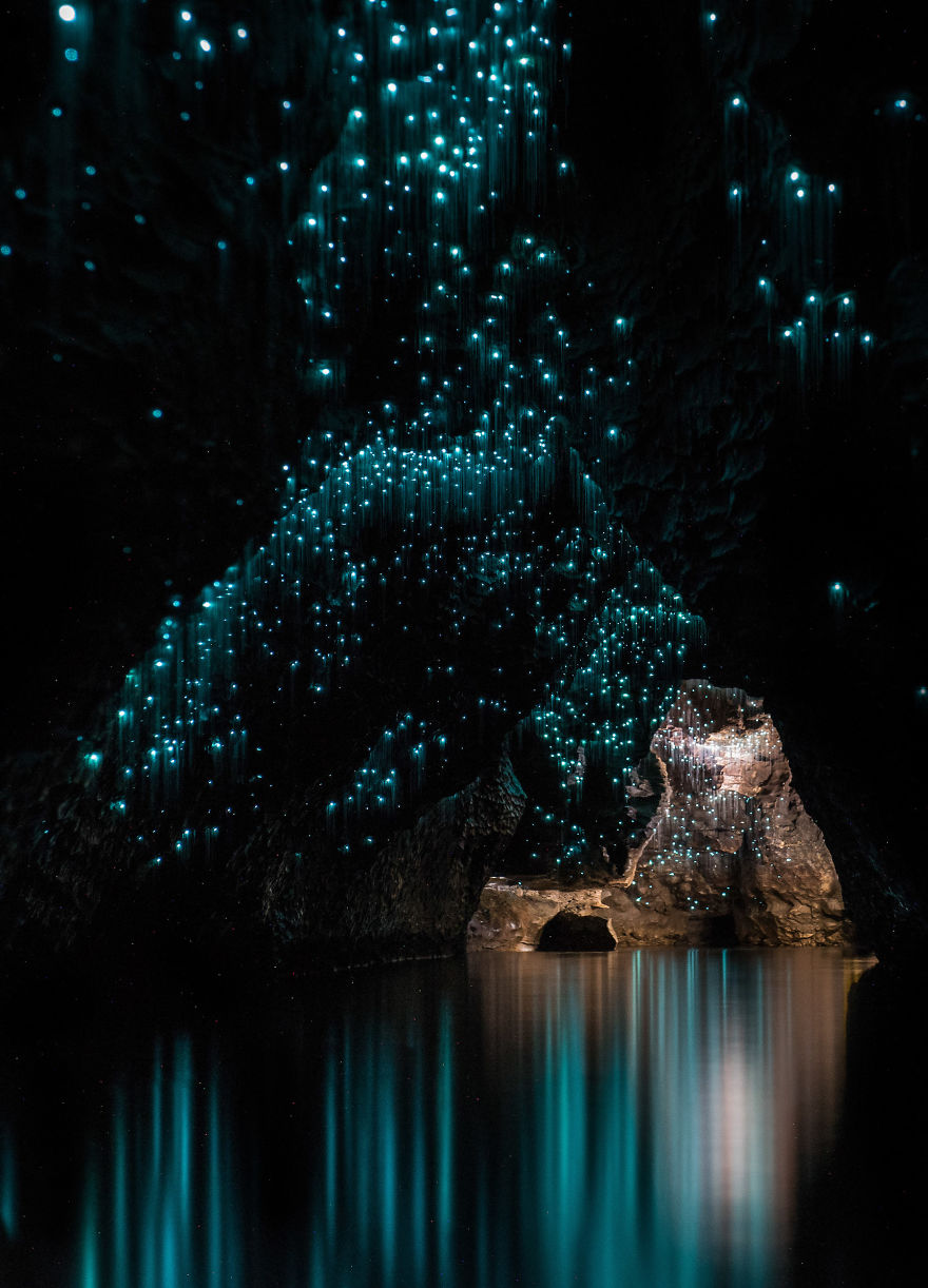 Glow Worms Turn New Zealand Cave Into Starry Night And I Spent Past Year Photographing It Glow Worms Turn New Zealand Cave Into Starry Night And I Spent Past Year Photographing It