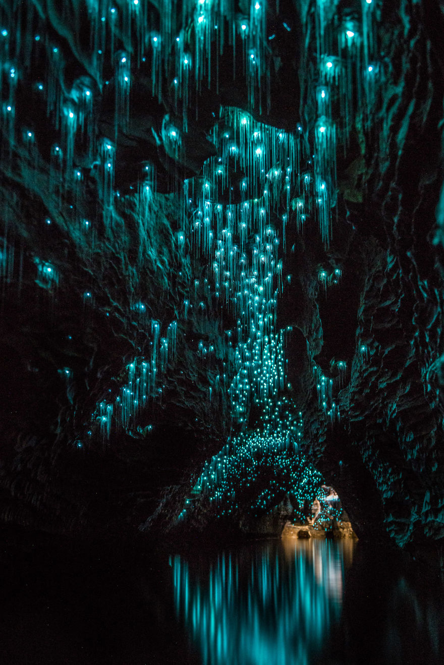 Glow Worms Turn New Zealand Cave Into Starry Night And I Spent Past Year Photographing It Glow Worms Turn New Zealand Cave Into Starry Night And I Spent Past Year Photographing It