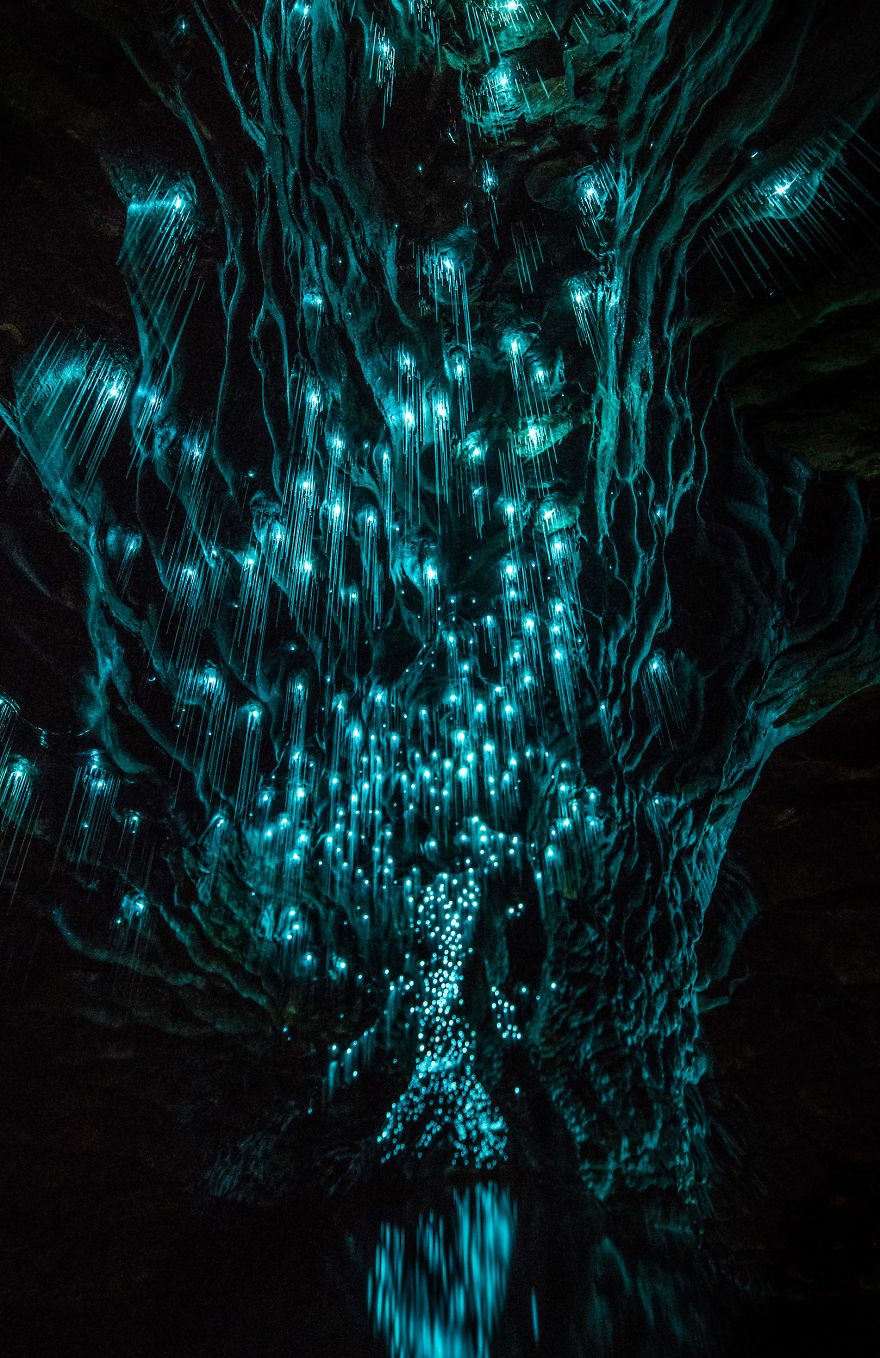 Glow Worms Turn New Zealand Cave Into Starry Night And I Spent Past Year Photographing It Glow Worms Turn New Zealand Cave Into Starry Night And I Spent Past Year Photographing It