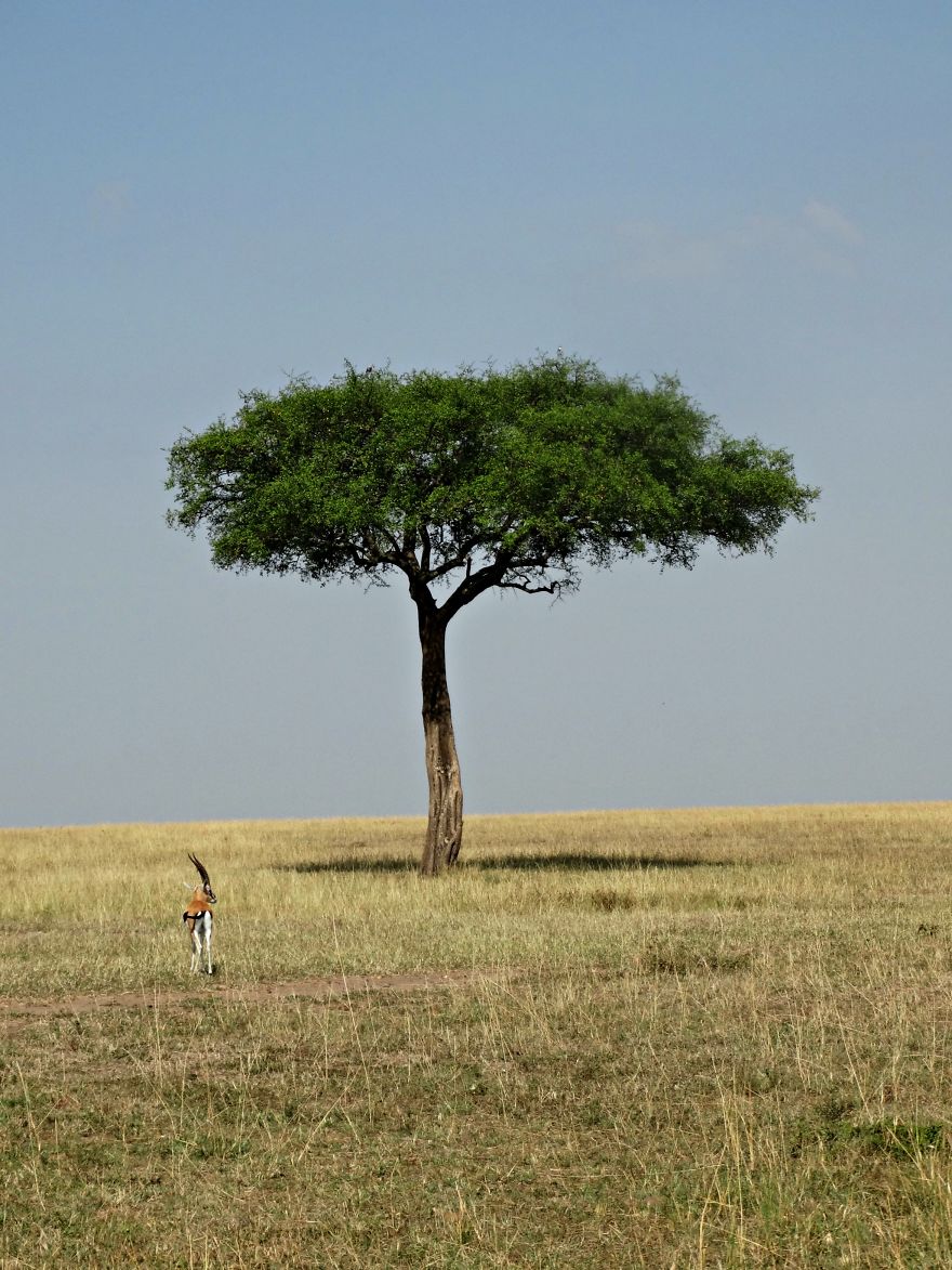 4 Years Ago, I Left The U.s. To Explore The World. These 35 Photos Showcase My Experience 4 Years Ago, I Left The U.s. To Explore The World. These 35 Photos Showcase My Experience