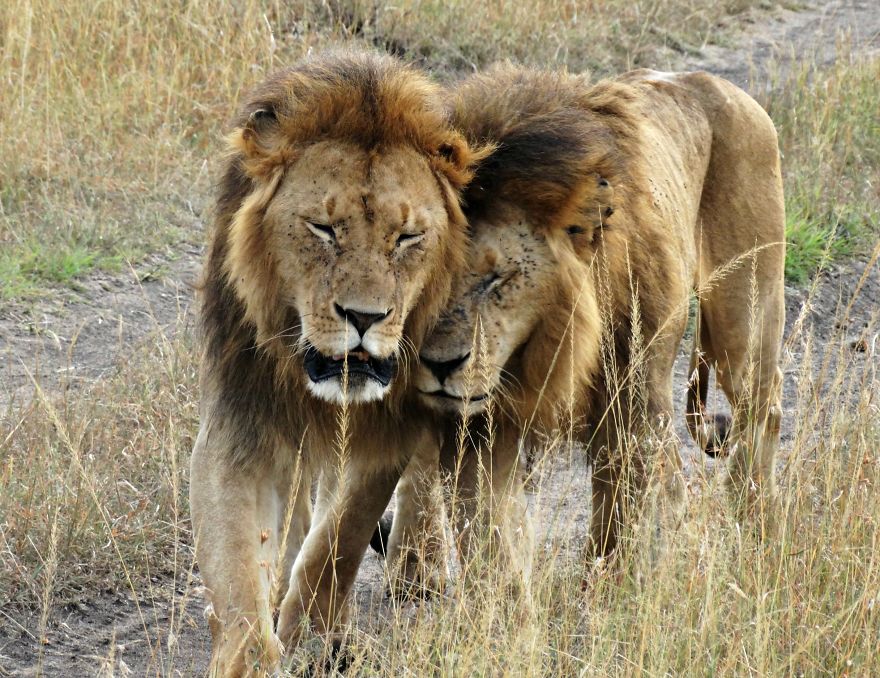 4 Years Ago, I Left The U.s. To Explore The World. These 35 Photos Showcase My Experience 4 Years Ago, I Left The U.s. To Explore The World. These 35 Photos Showcase My Experience