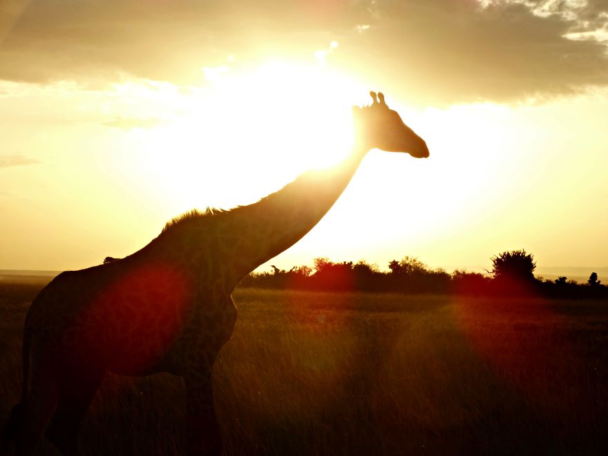 4 Years Ago, I Left The U.s. To Explore The World. These 35 Photos Showcase My Experience