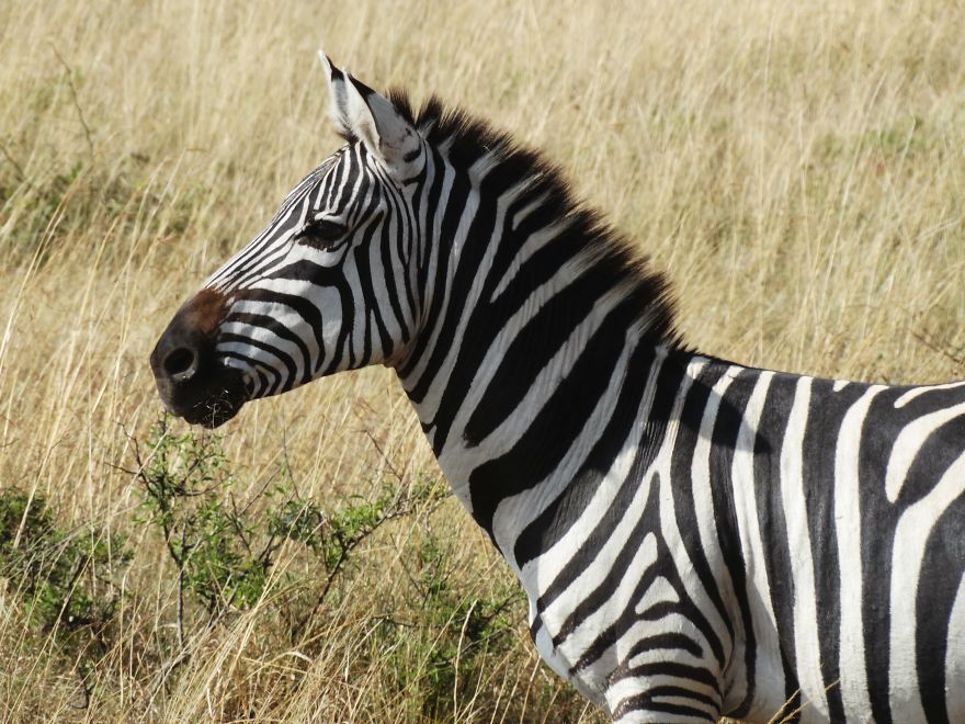 4 Years Ago, I Left The U.s. To Explore The World. These 35 Photos Showcase My Experience