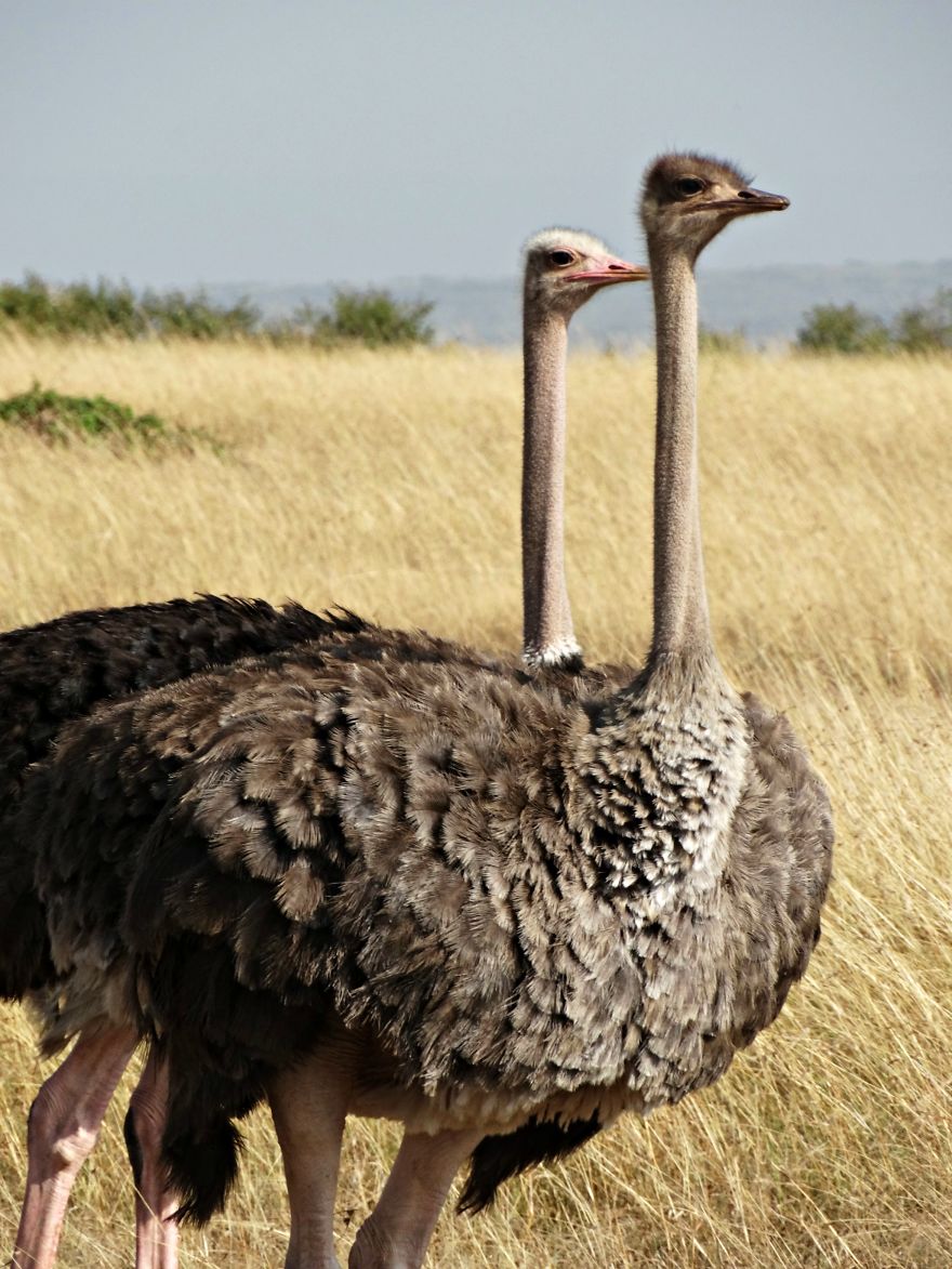 4 Years Ago, I Left The U.s. To Explore The World. These 35 Photos Showcase My Experience 4 Years Ago, I Left The U.s. To Explore The World. These 35 Photos Showcase My Experience