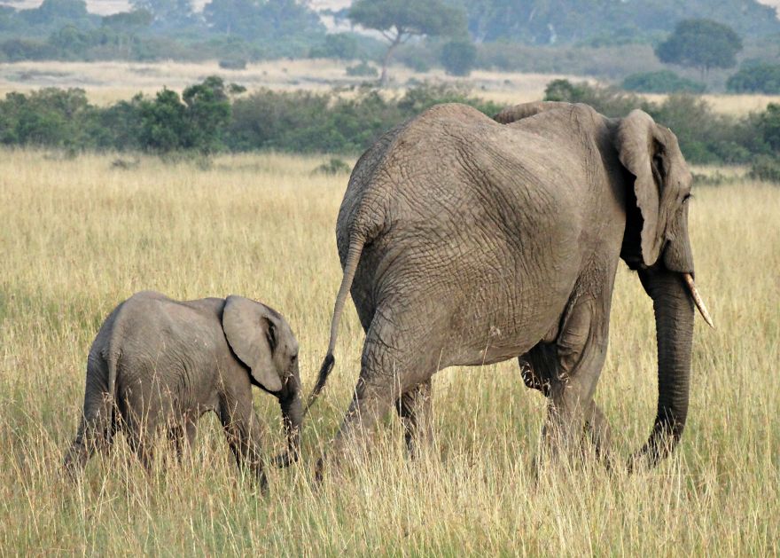 4 Years Ago, I Left The U.s. To Explore The World. These 35 Photos Showcase My Experience 4 Years Ago, I Left The U.s. To Explore The World. These 35 Photos Showcase My Experience