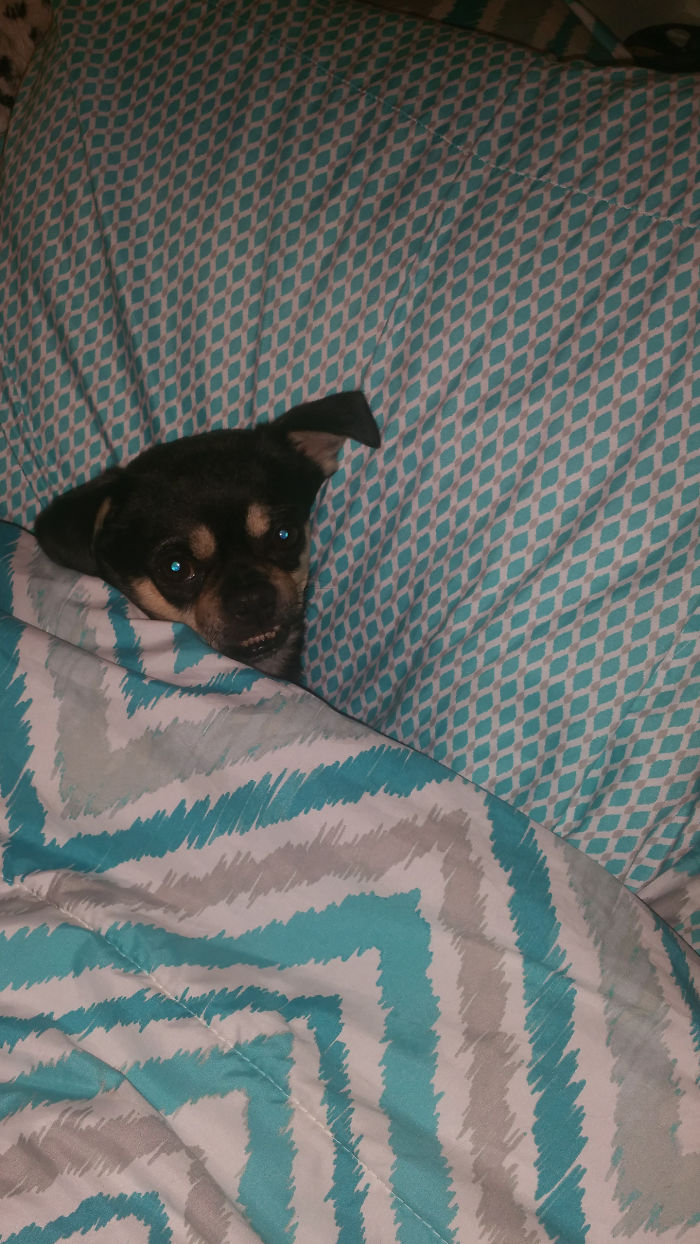 My Little Boy, Buddy, Trying To Sleep!