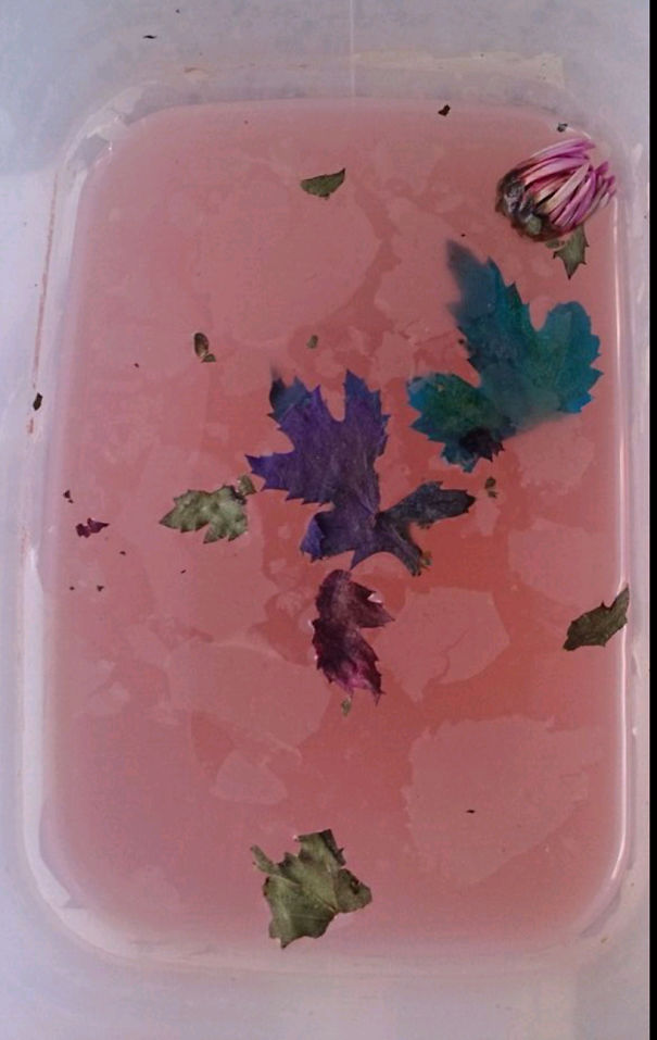 The Remaining Water After I Threw Dead Flowers Out.