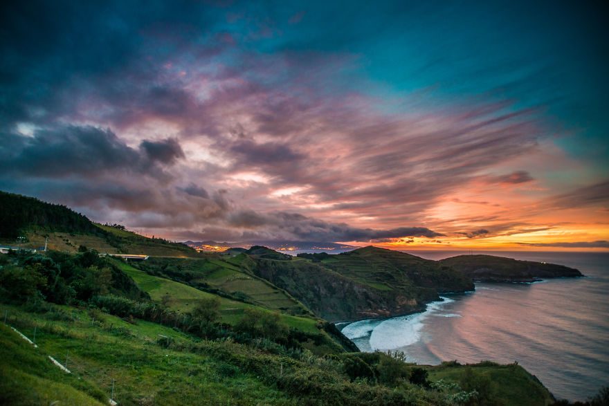 Cats Of Azores: I Found 20 Happy Cats Living In The Island
