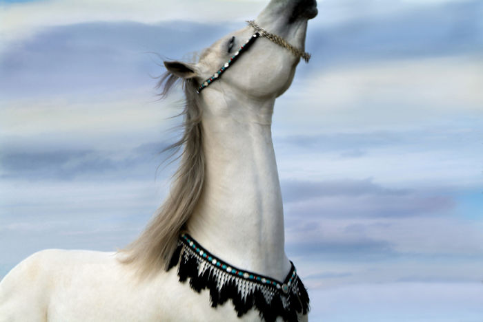 I Create Photo-Montages With Horses To Create Unique Yet Natural Scenes