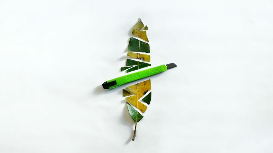 I Use Colorful Objects Around Home To Channel My Creative Concepts