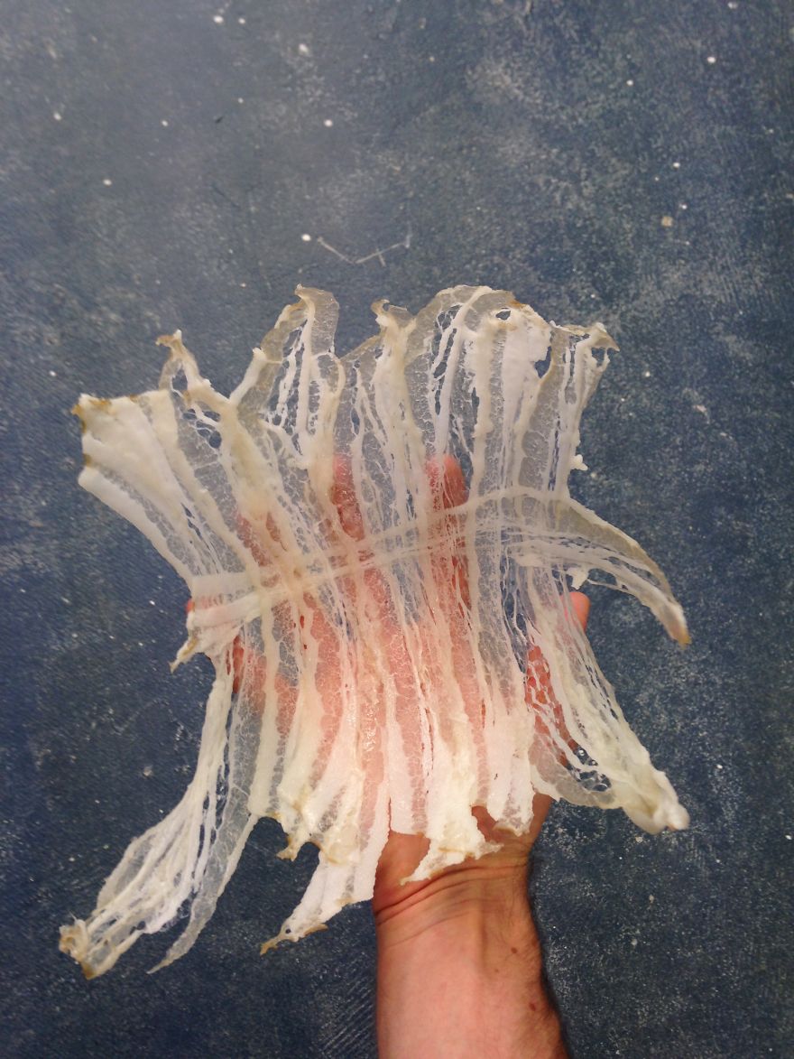 Lamps and Vases Made From Discarded Meat That I Found In Supermarkets