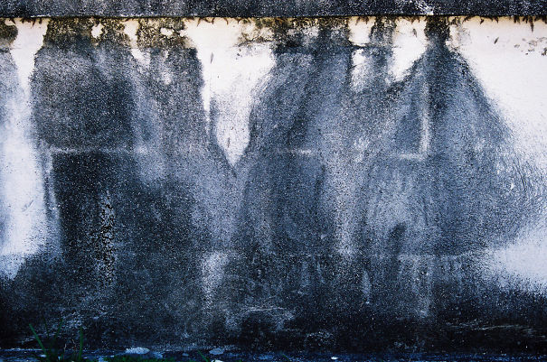 This Moss On A Wall Of A Cemetary Looks Like A Shadowy Gathering Of People From The 1800s.
