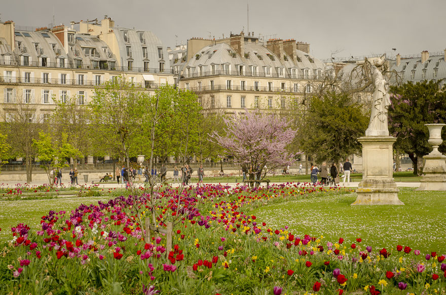 Top 10 Paris Parks You Will Fall In Love With