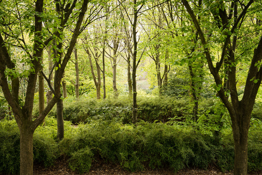 Top 10 Paris Parks You Will Fall In Love With