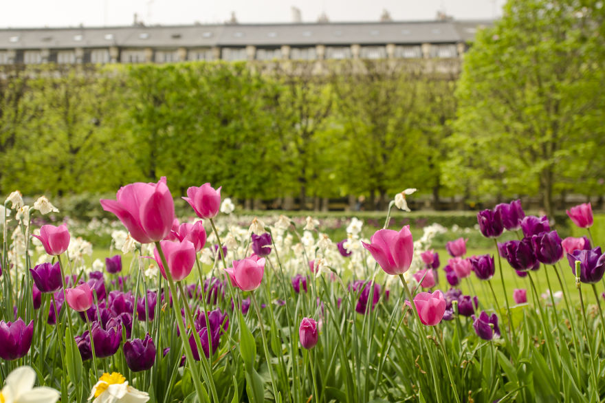 Top 10 Paris Parks You Will Fall In Love With