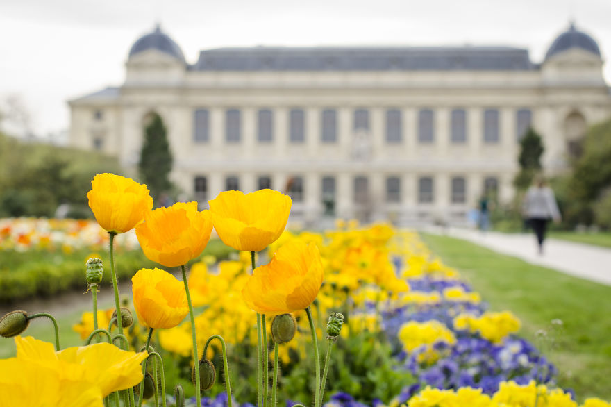Top 10 Paris Parks You Will Fall In Love With Top 10 Paris Parks You Will Fall In Love With