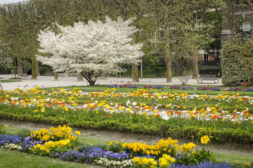 Top 10 Paris Parks You Will Fall In Love With Top 10 Paris Parks You Will Fall In Love With