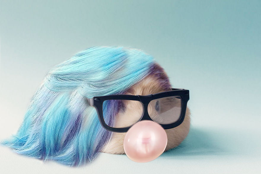 Just A Usual Instagrammer