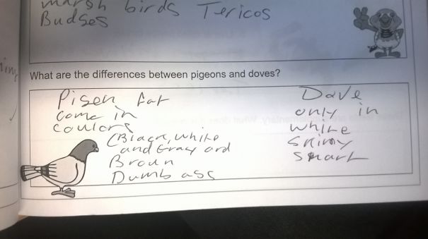 I Tried Teaching Them About Birds....